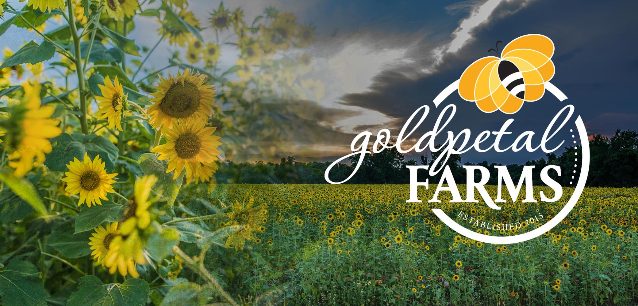 Goldpetal Farms Identity System Design by Red Chalk Studios