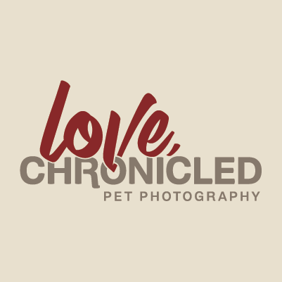 Love, Chronicle name and logo design by Red Chalk Studios